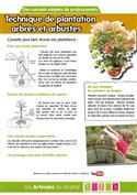 Fiche pratique "plantation des arbres et arbustes"